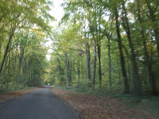 Vers Bois les Pargny 02